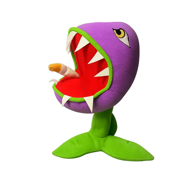 carnivora