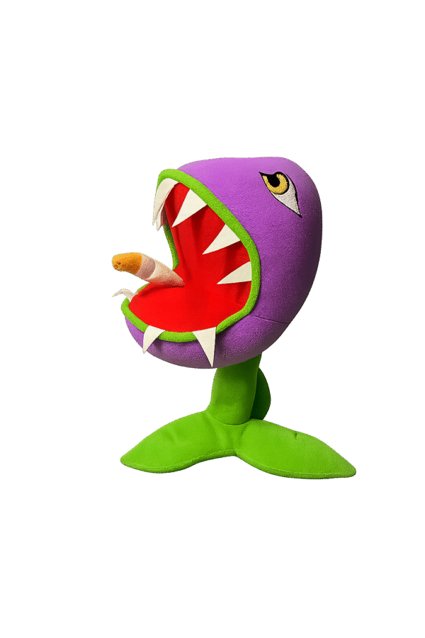 carnivora